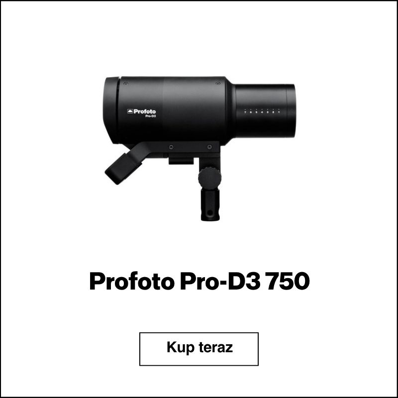Profoto Pro-D3 750
